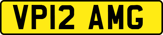 VP12AMG