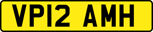 VP12AMH