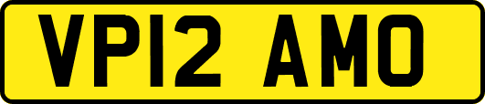 VP12AMO