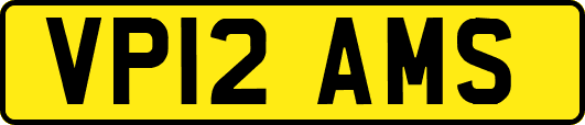 VP12AMS