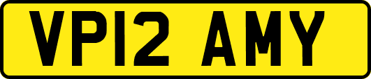 VP12AMY