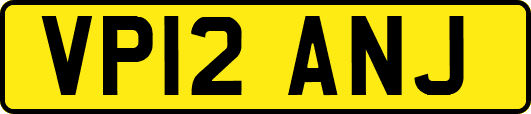 VP12ANJ
