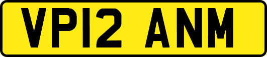 VP12ANM