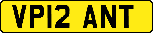 VP12ANT