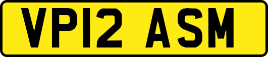 VP12ASM