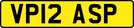 VP12ASP