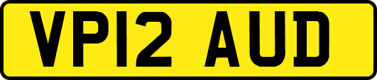 VP12AUD