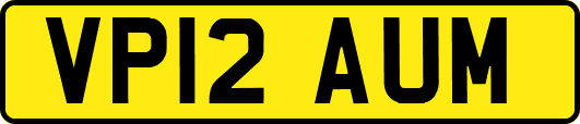 VP12AUM