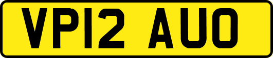 VP12AUO
