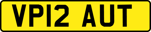 VP12AUT
