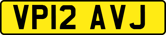 VP12AVJ