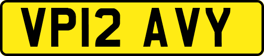 VP12AVY