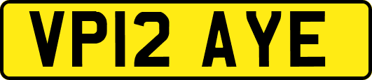 VP12AYE