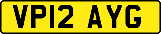 VP12AYG
