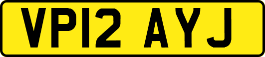 VP12AYJ