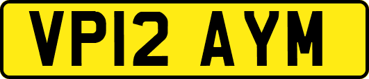 VP12AYM