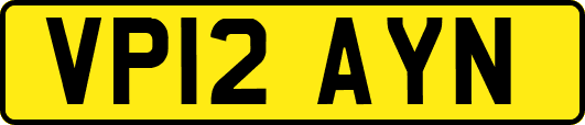VP12AYN