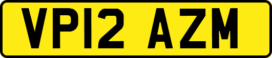 VP12AZM