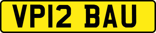 VP12BAU