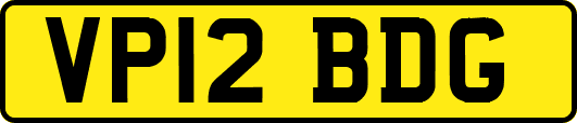 VP12BDG