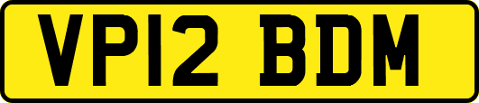 VP12BDM