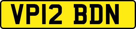 VP12BDN