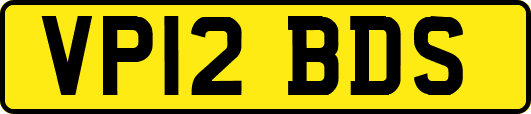 VP12BDS