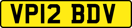 VP12BDV