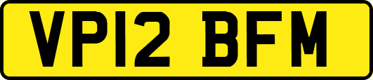 VP12BFM