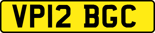 VP12BGC