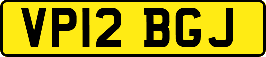 VP12BGJ