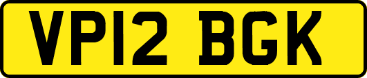VP12BGK