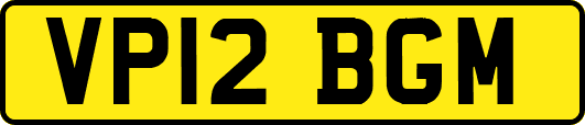 VP12BGM