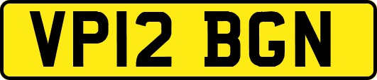 VP12BGN