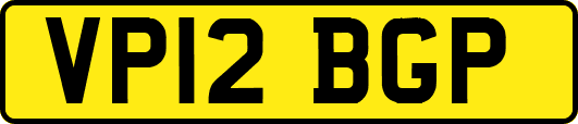 VP12BGP