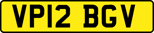 VP12BGV