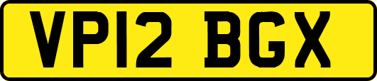 VP12BGX