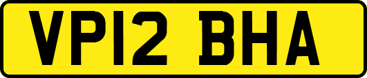 VP12BHA