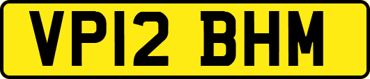VP12BHM