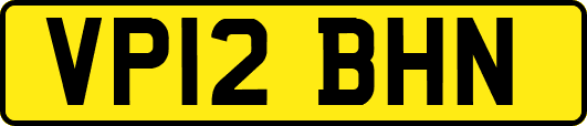 VP12BHN