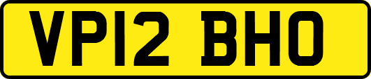 VP12BHO