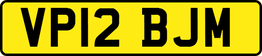 VP12BJM