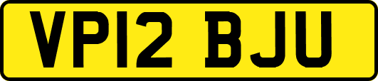 VP12BJU