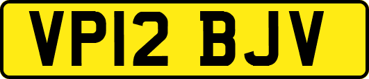 VP12BJV