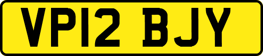 VP12BJY