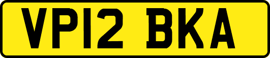 VP12BKA