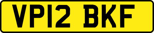 VP12BKF