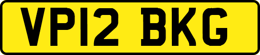 VP12BKG