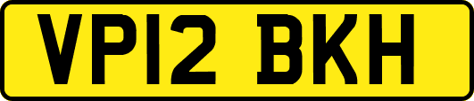 VP12BKH