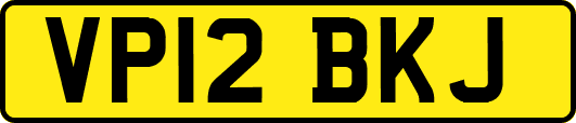 VP12BKJ